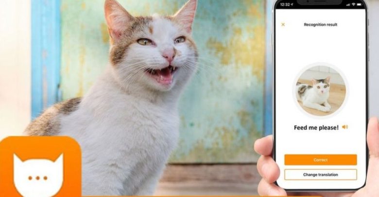 تحميل تطبيق مياو توك لترجمة مواء القطط MEOWTALK للاندرويد 2023 مجانا