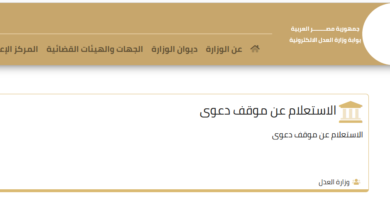 تنزيل تطبيق الاستعلام عن القضايا في مصر على الأندرويد أحدث نسخة 2024